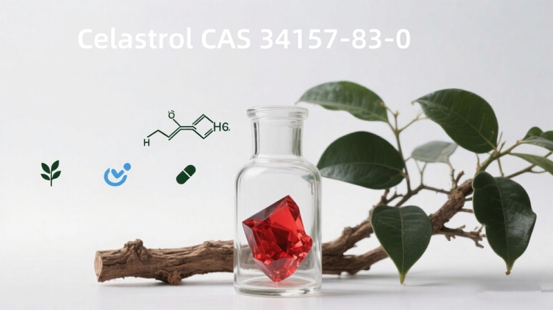 Celastrol CAS 34157-83-0 | Natural, Effective, and Versatile for Nutraceutical & Cosmetic Industries